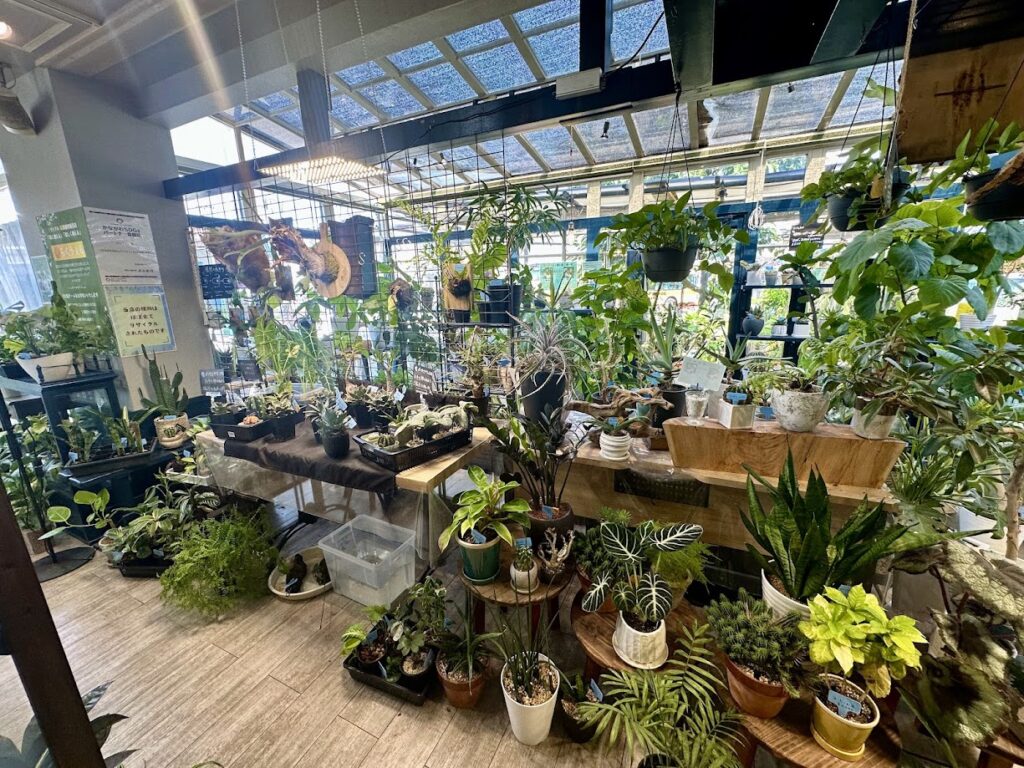 らくうぇる店内