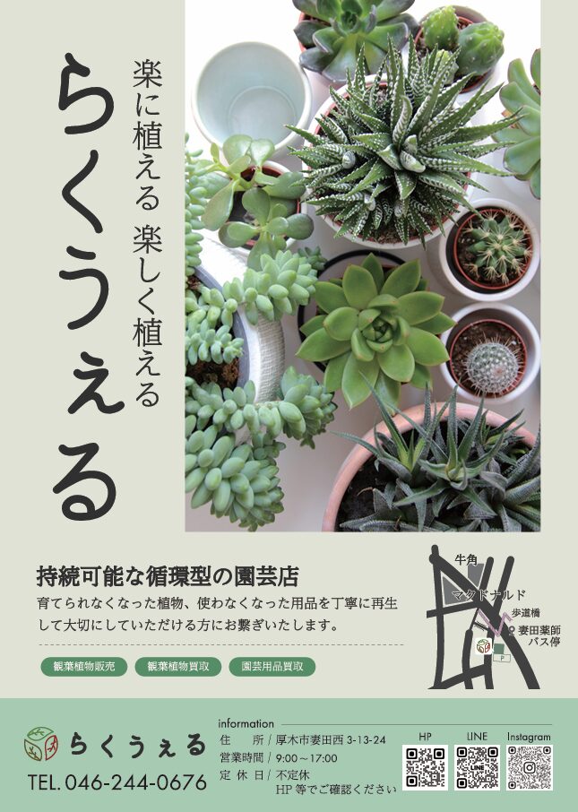 らくうぇるチラシ